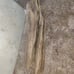 Driftwood