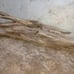Driftwood
