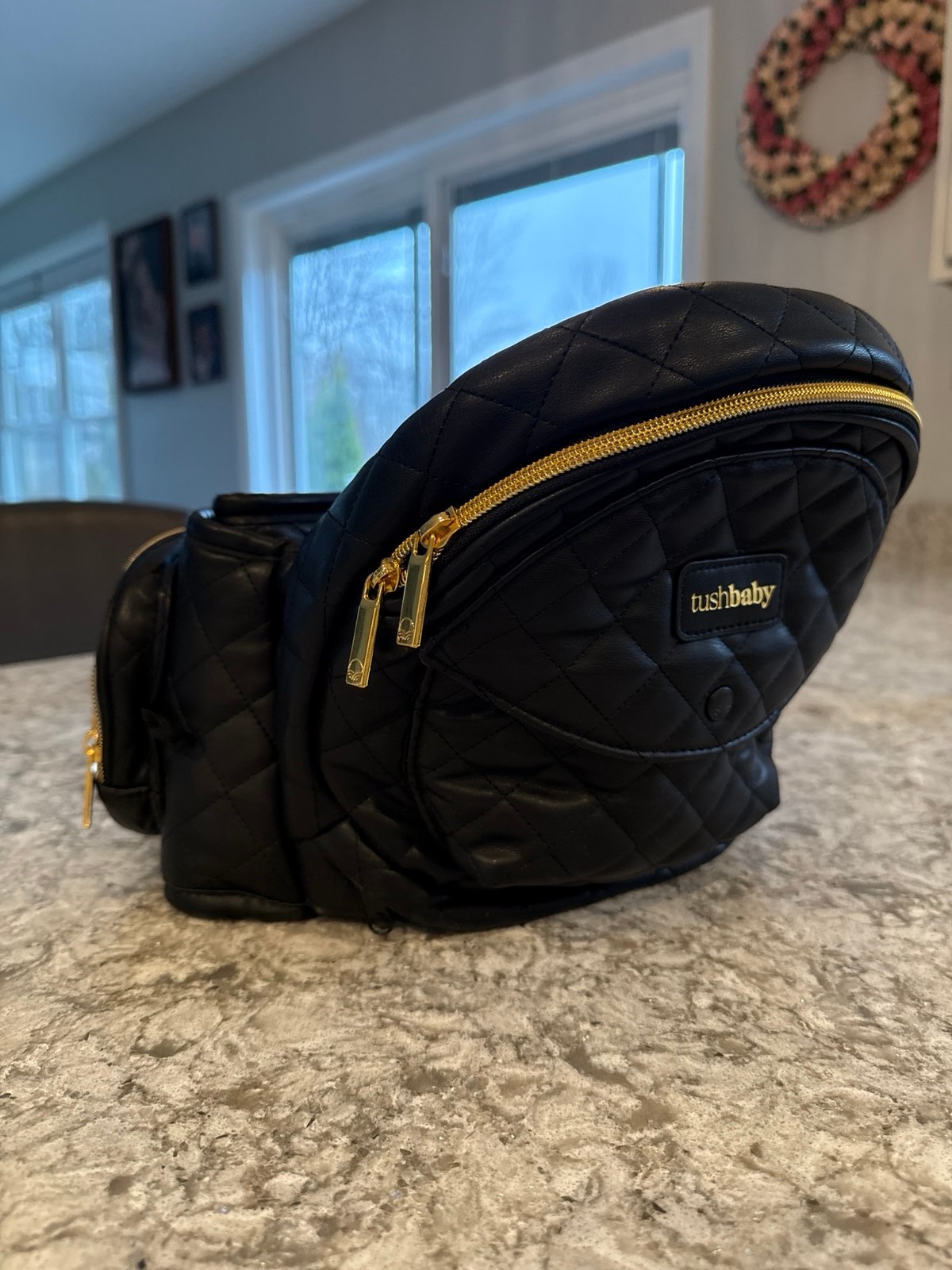 Tushbaby baby carrier