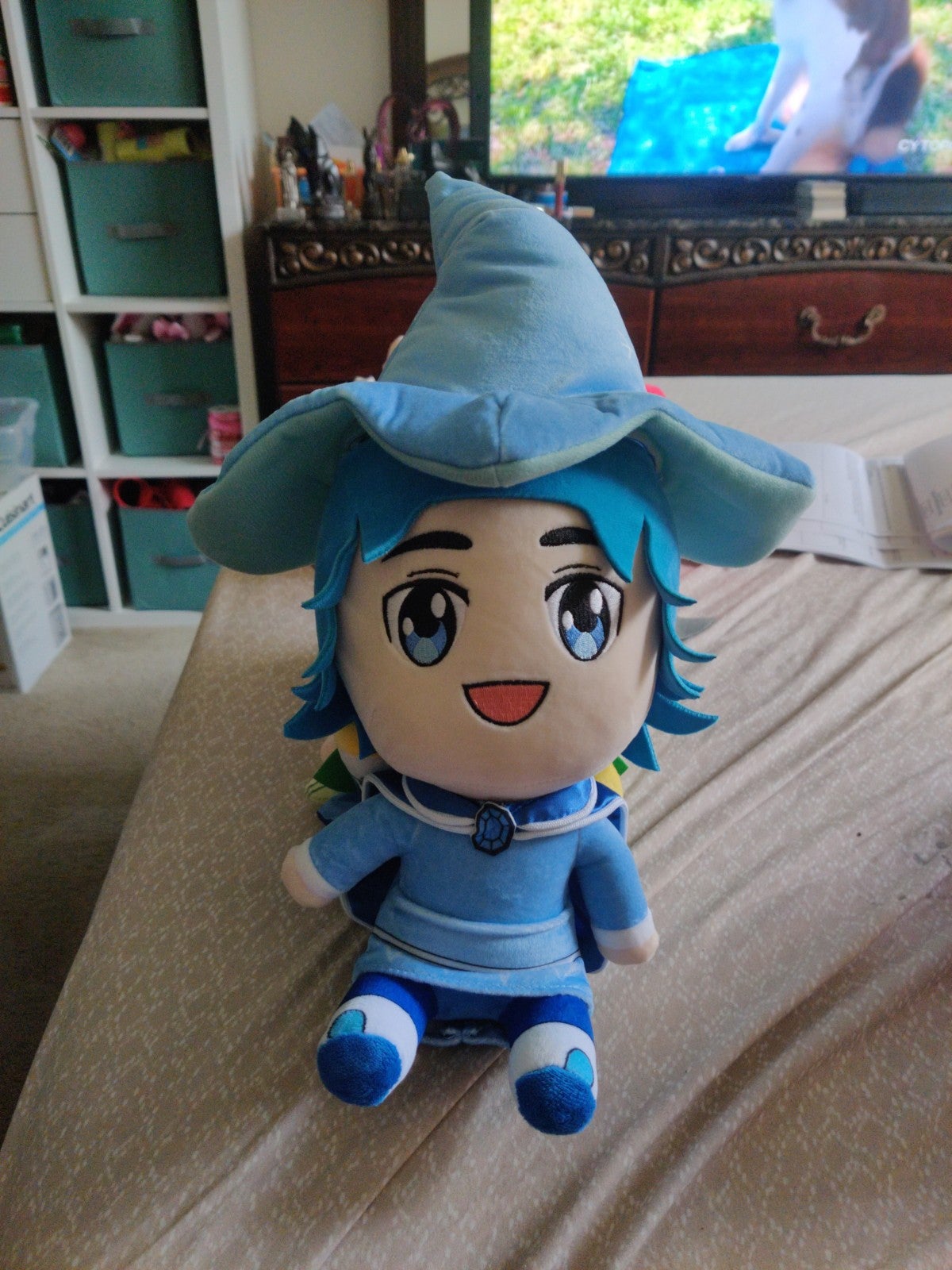 Plush