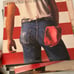 Bruce Springsteen Vinyl Collection