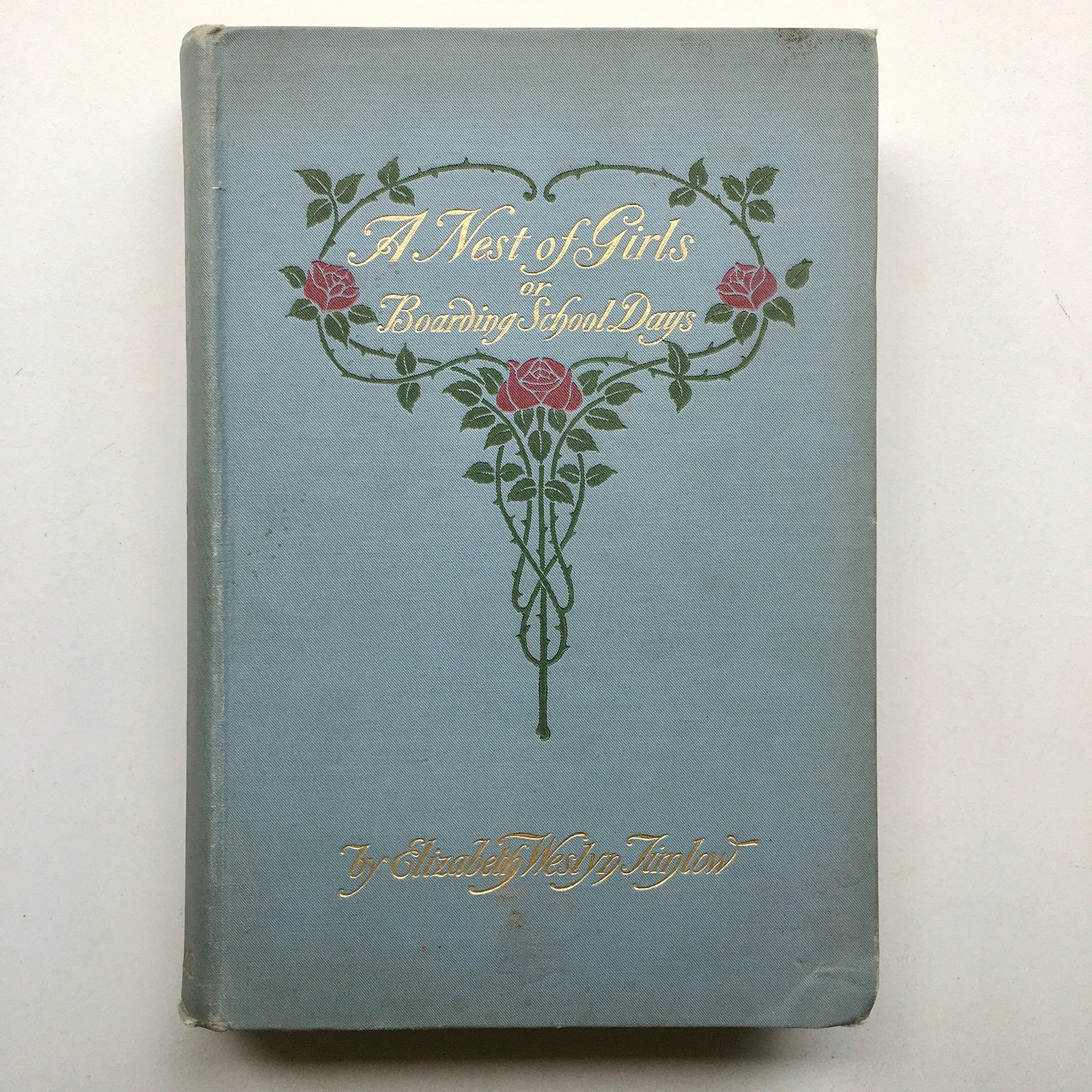A Nest of Girls or Boarding-School Days - by Elizabeth Wesley Timlow