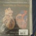 College textbook