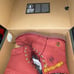 Timberland (PREMIUMS)