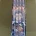 Tenchi Muyo - Galaxy Police Transporter DVD's