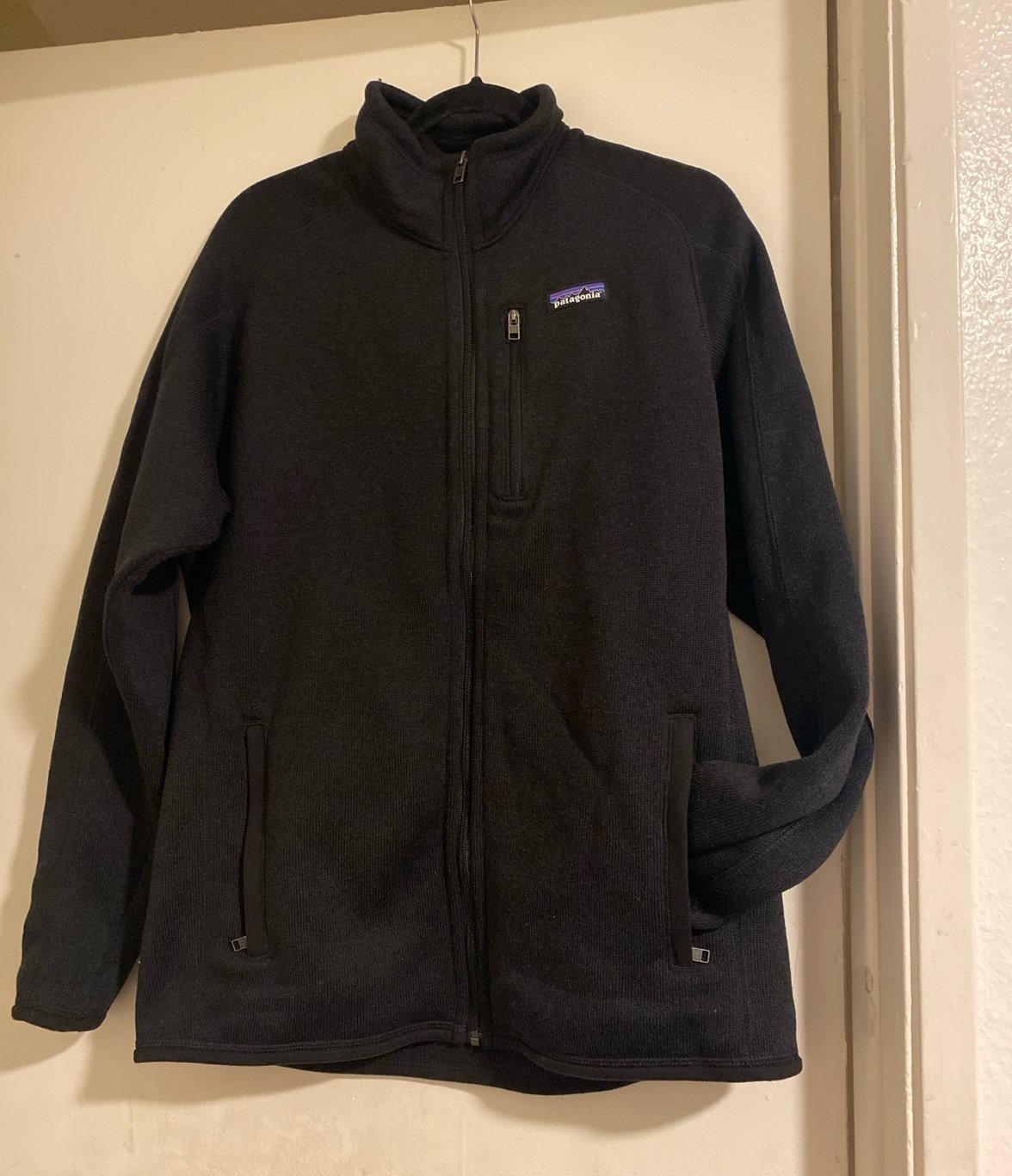 Patagonia Better Sweater Means L