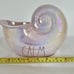 Free Shipping Rae Dunn Iridescent Mermaid Tails & Shells, Lot of 4