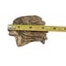 Native American Chief Headdress Belt Buckle Bronze Brass Detailed Work of Art