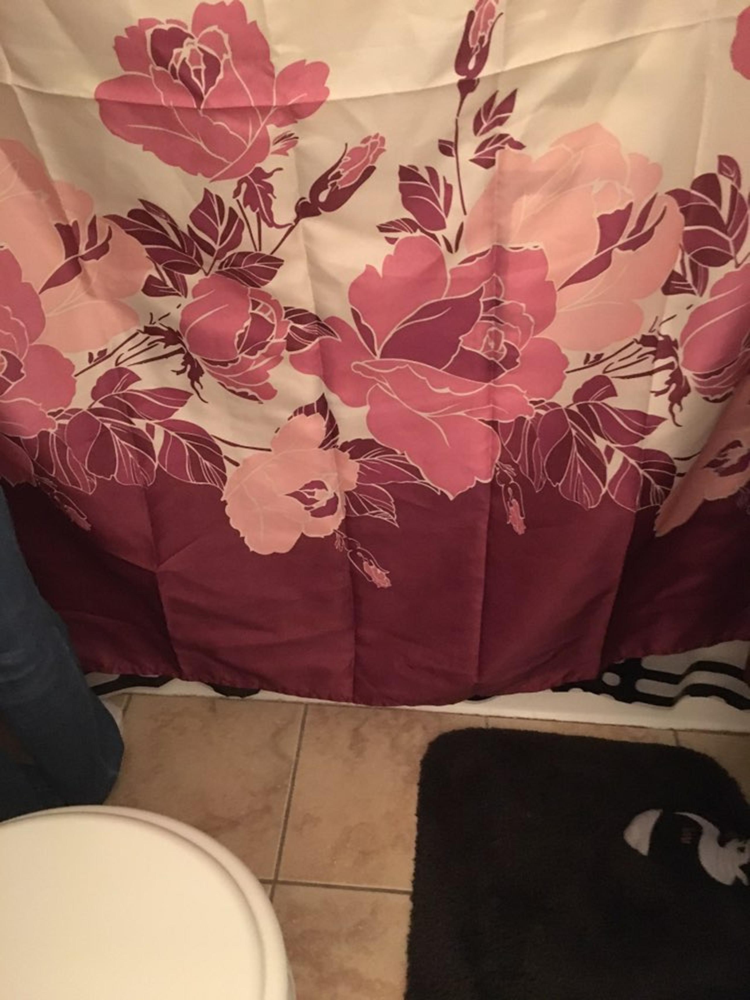 shower curtain