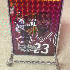Lebron James prism vending sticker