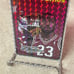 Lebron James prism vending sticker