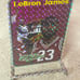 Lebron James prism vending sticker