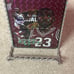 Lebron James prism vending sticker