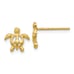 Sea Turtle Earrings
