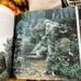 Voyage of the Basset first print 1996 fairy’s