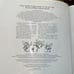 Voyage of the Basset first print 1996 fairy’s