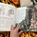 Voyage of the Basset first print 1996 fairy’s