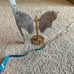 Wings with stand
