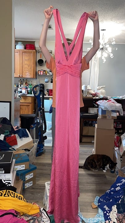 BCBG Dress 348 original price tags size 10 hot pink