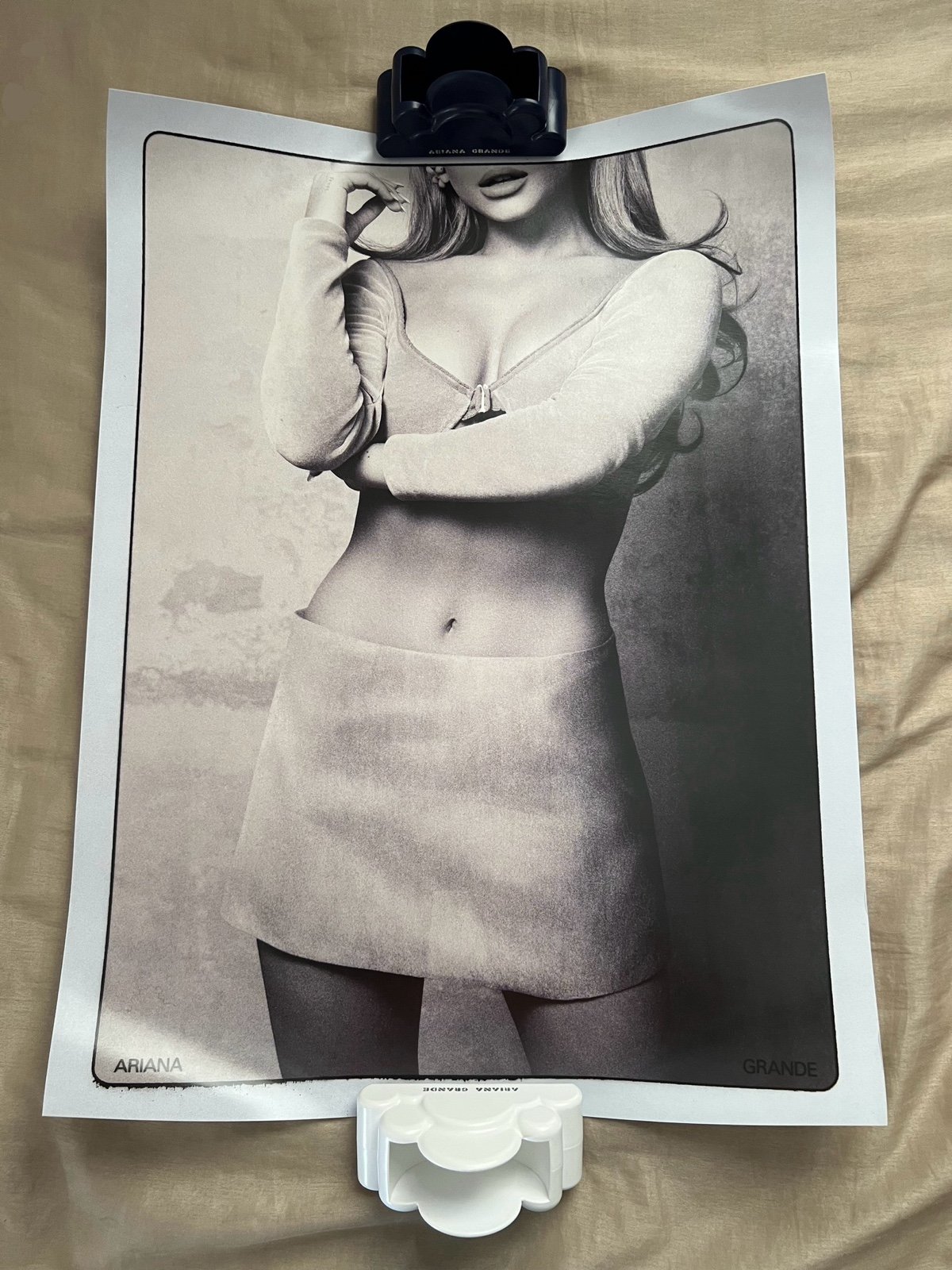 ariana positions poster (private listing)