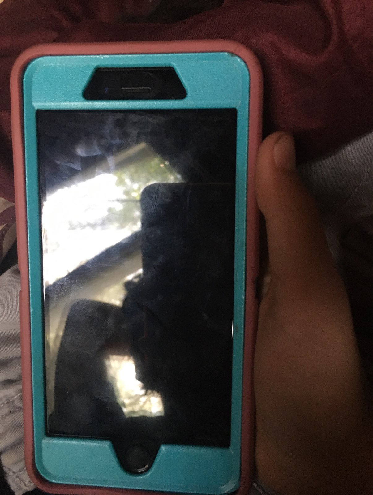 iPhone 6s Plus