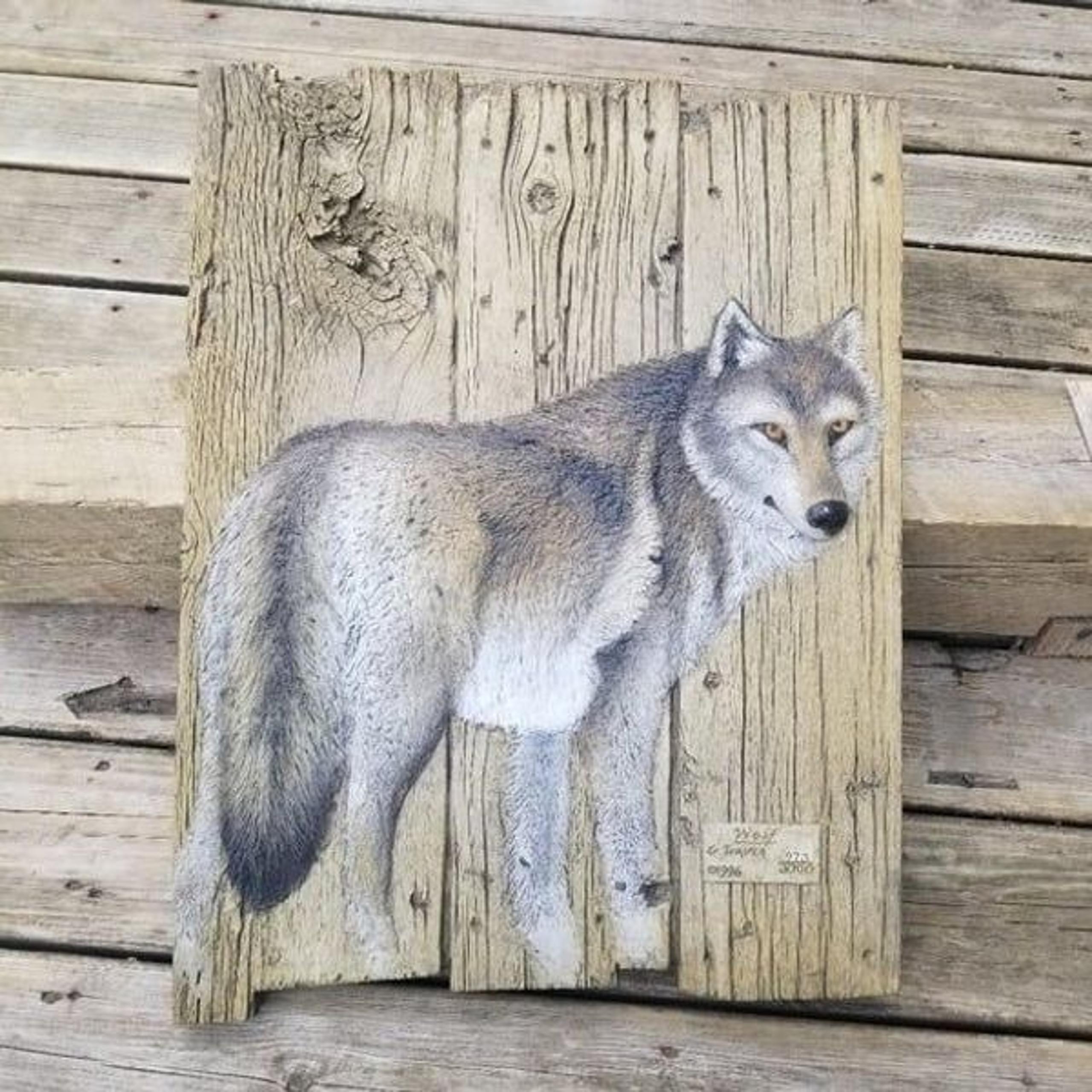 George Turner Limited Edition Hand Painted Relief Sculpture "WOLF" 1996 Barnwood