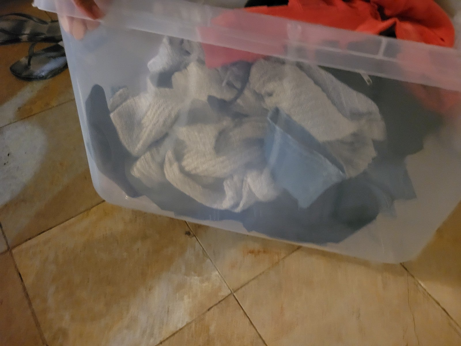 Juniors/women's clothing lot