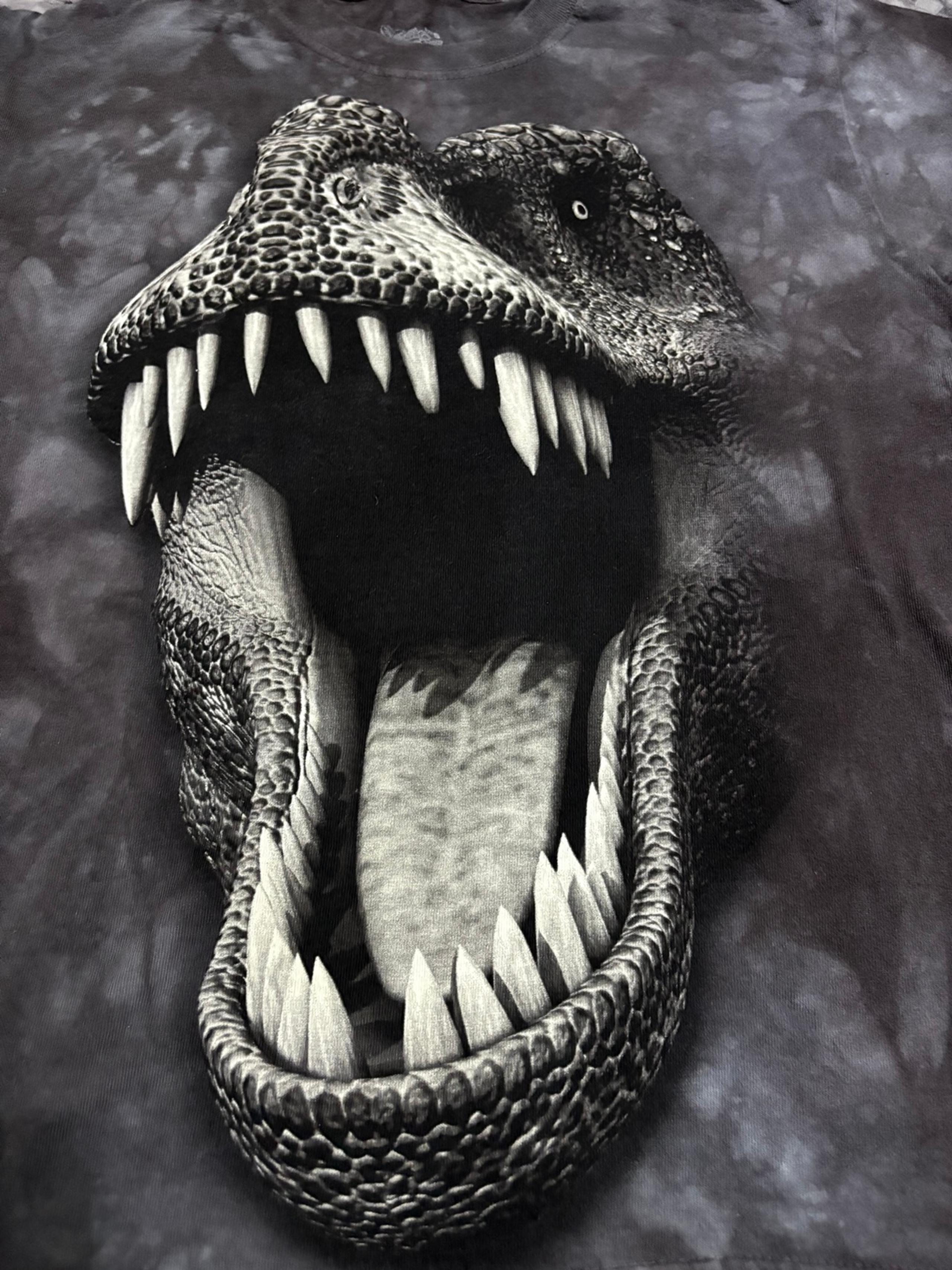 Disney Springs T-REX Kids Small Dinosaur Shirt Black Top