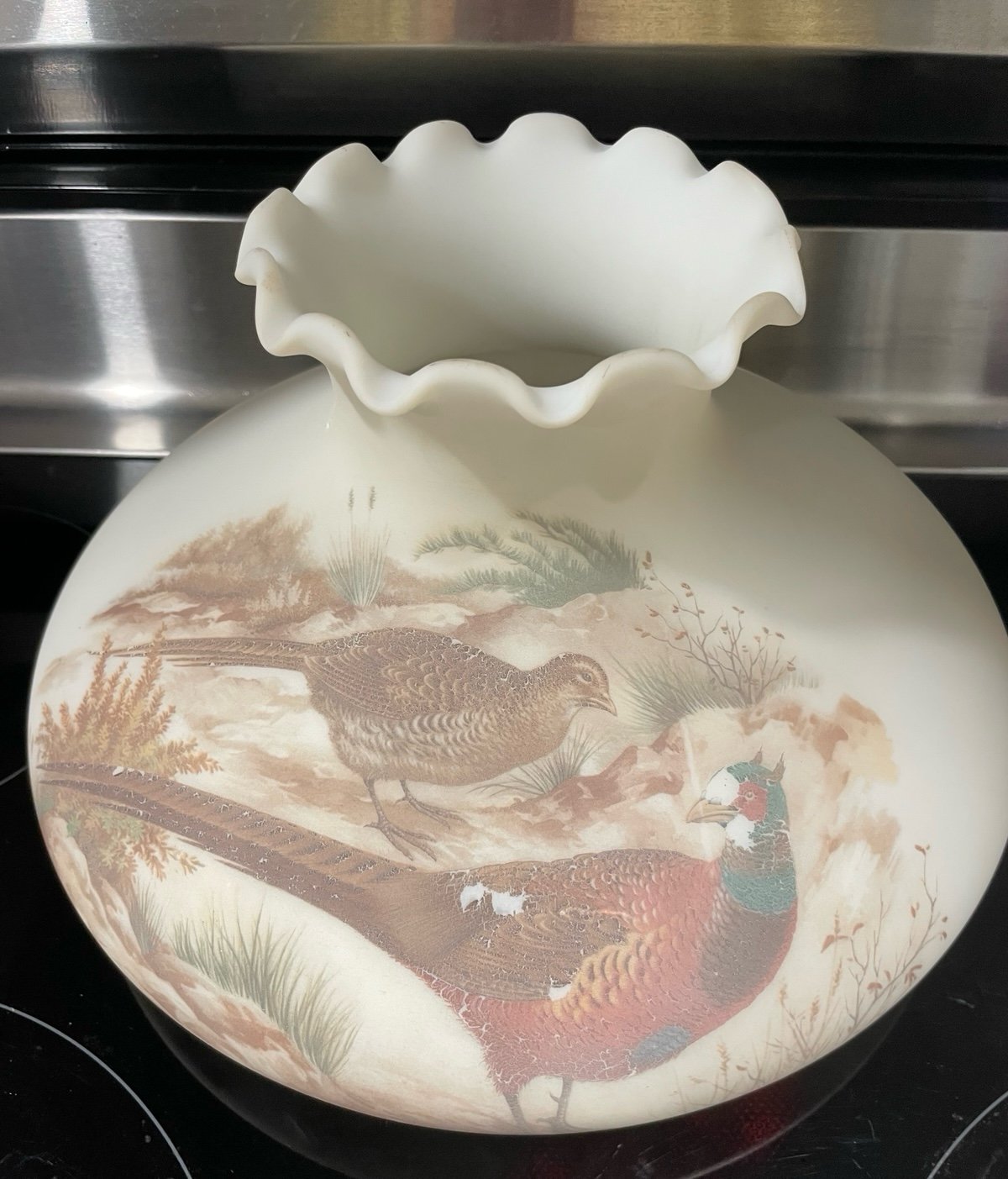 Vintage GWTW 10 Fitter Pheasant Peacock Hurricane Oil/Electric Glass Lamp Shade