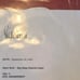 Remi Wolf Big Ideas Vinyl SIGNED AUTOGRAPHED Jacket