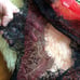 NWTLace Trim Sheer Lingerie Ribbon Robe Black