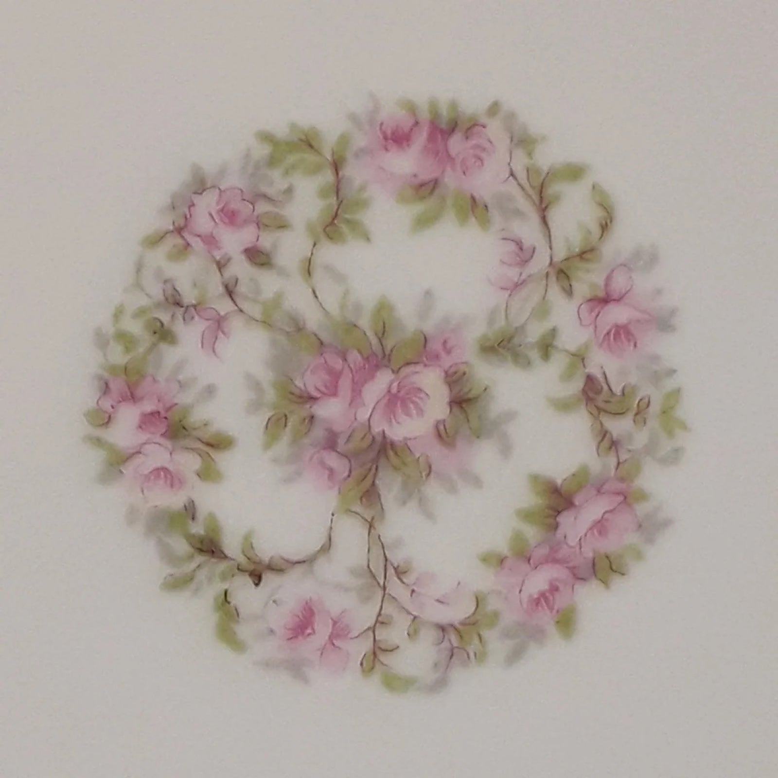 HUGE HOLIDAY & HURRICANE SALE! Z. S. & Co. Antique China