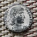 Constantine the Great Authentic Ancient Bronze Roman Coin