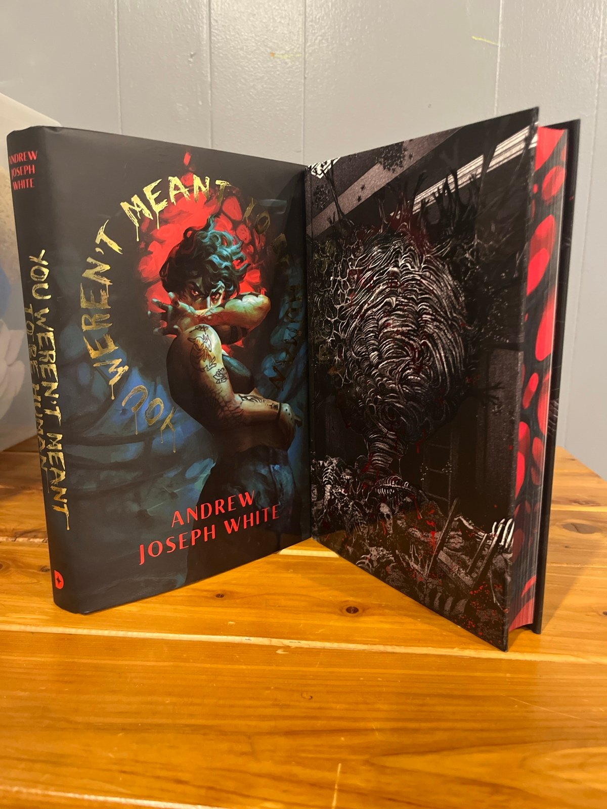 Illumicrate EverNight You Weren’t Meant to be Human Andrew Joseph White