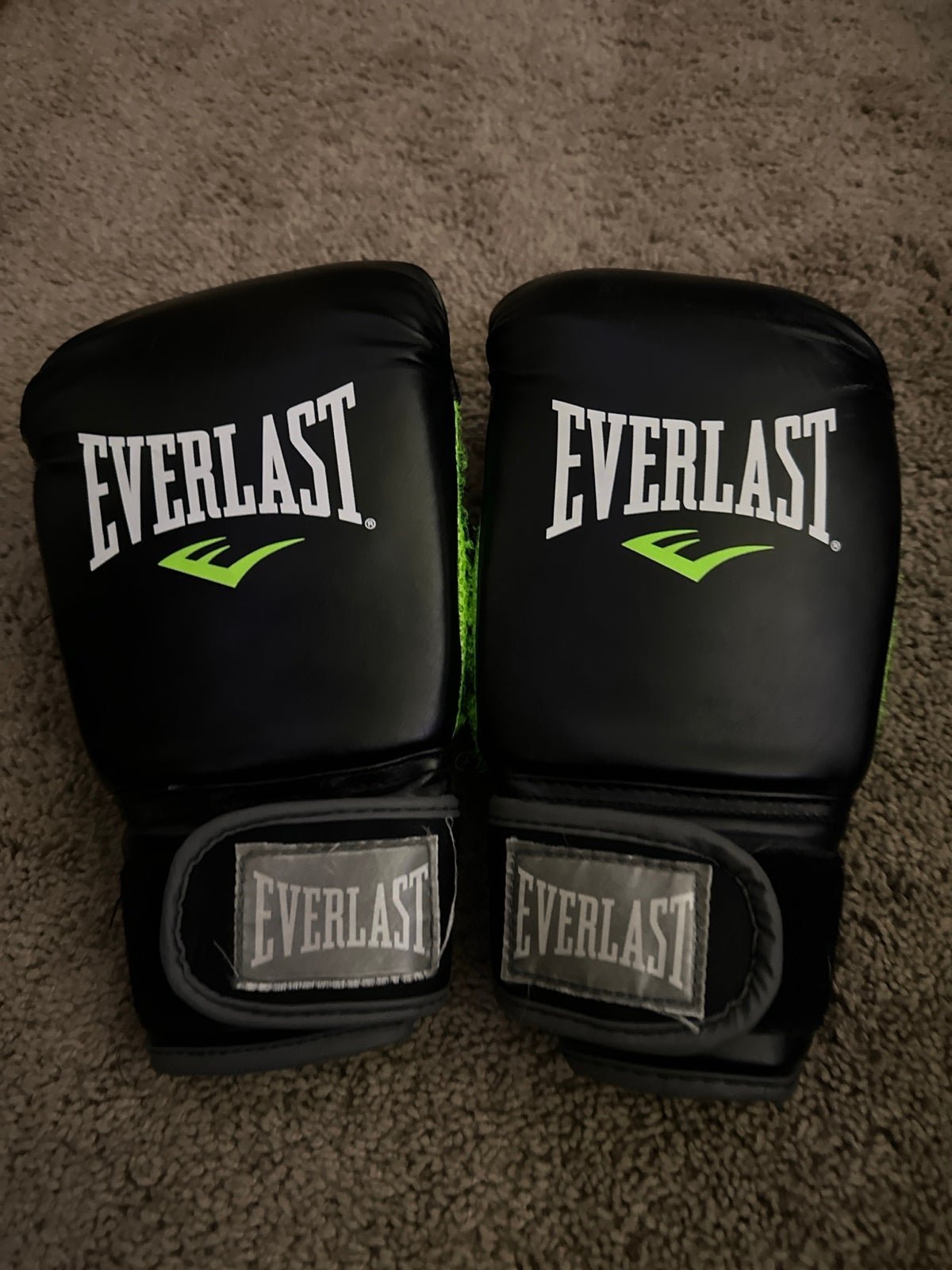Everlast boxing gloves