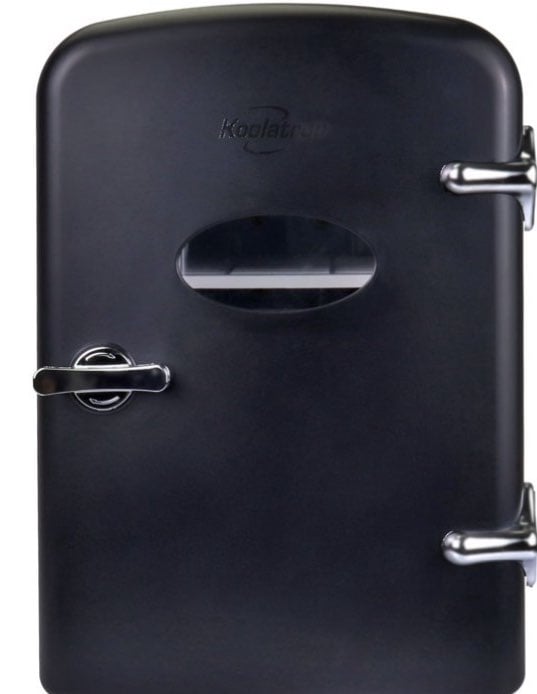 Portable mini frigidaire