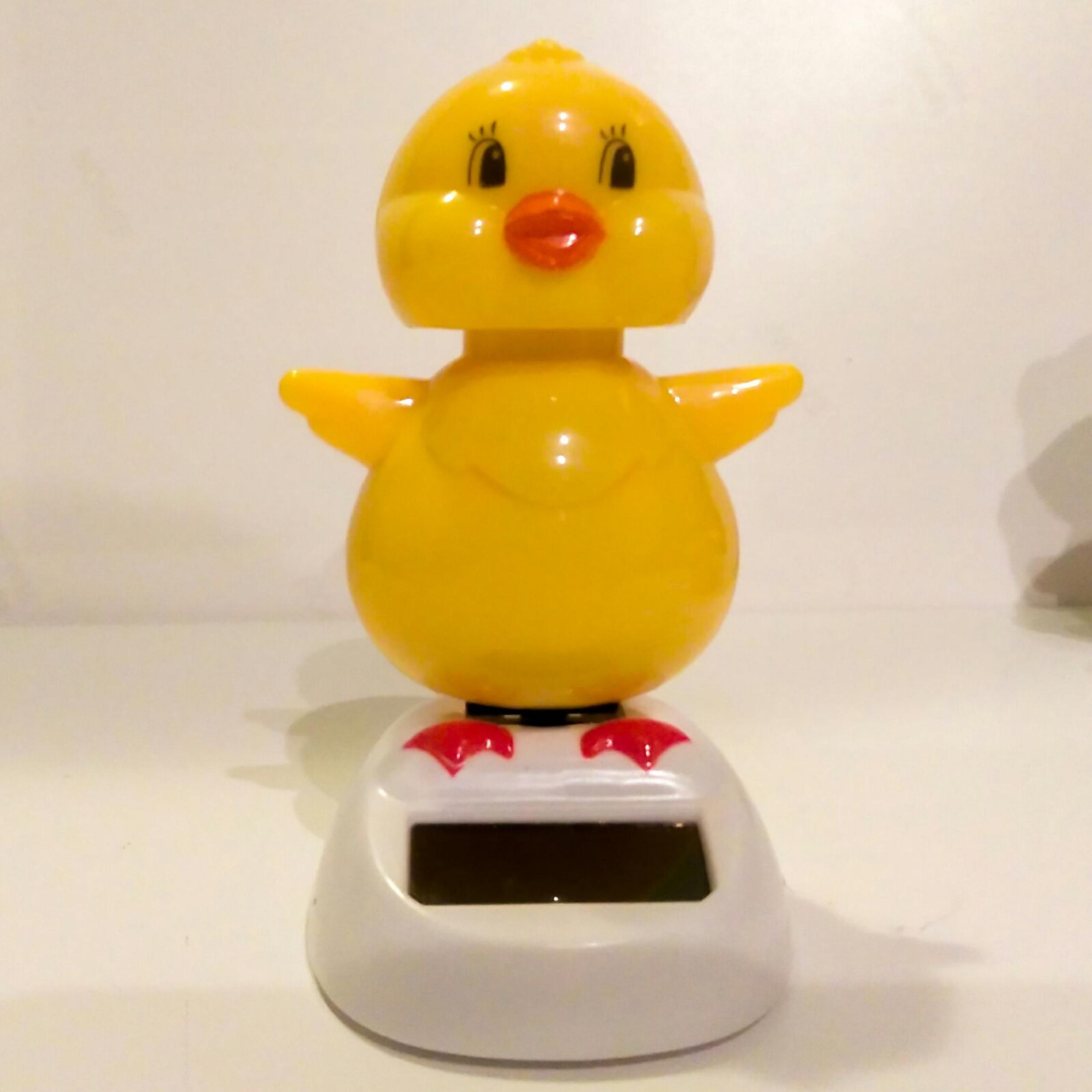 Solar dancing chick