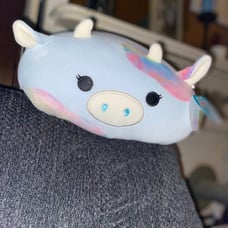 Squishmallows Caedyn the Cow Stuffed Plush