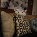 Squishmallows Caedyn the Cow Stuffed Plush