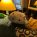 Squishmallows Caedyn the Cow Stuffed Plush