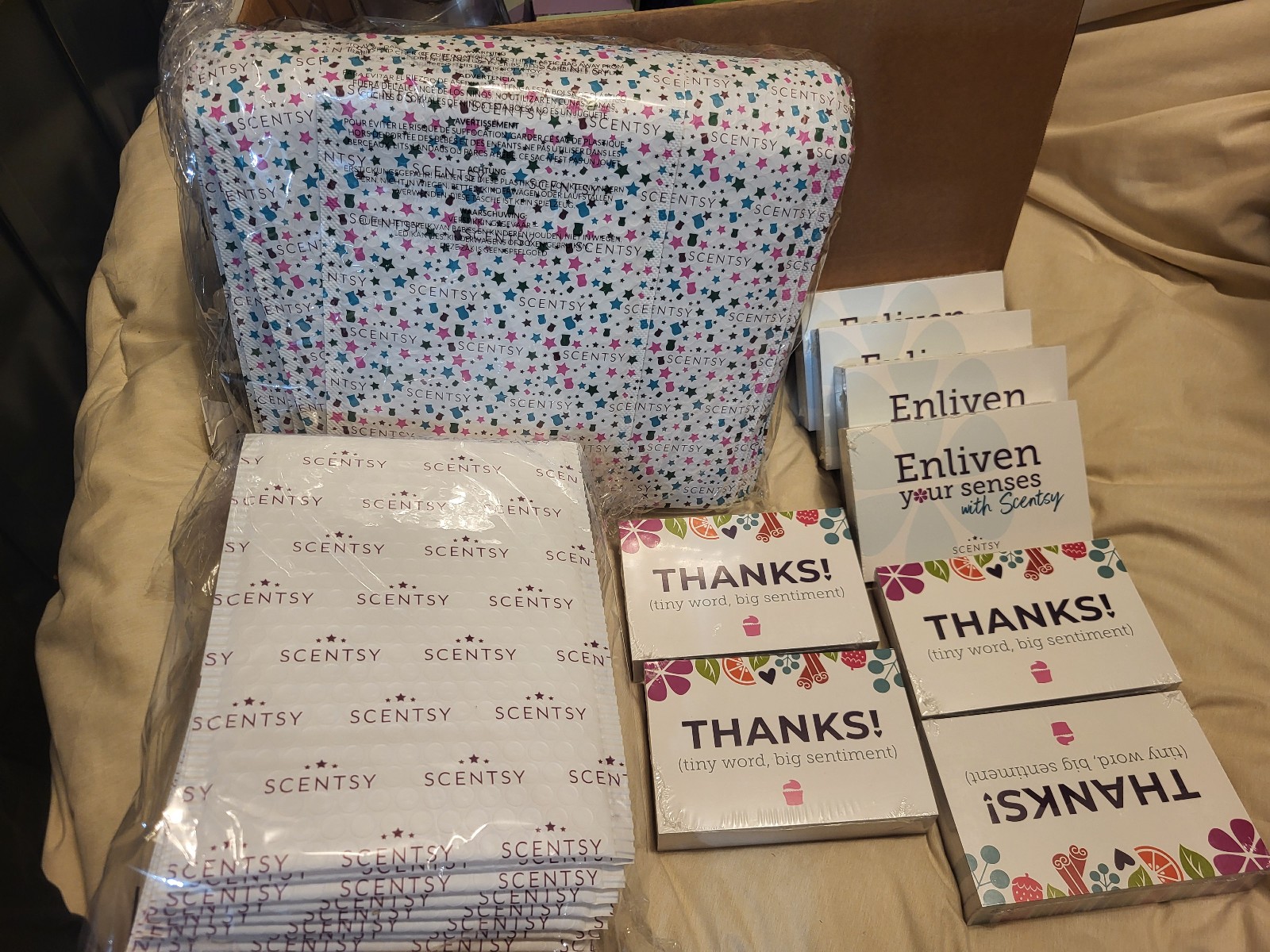 Scentsy consultant stash