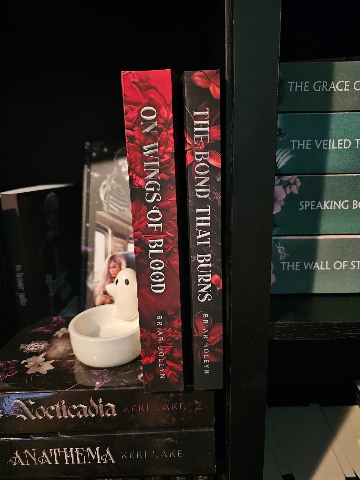 OOP Bloodwing Academy books 1 & 2