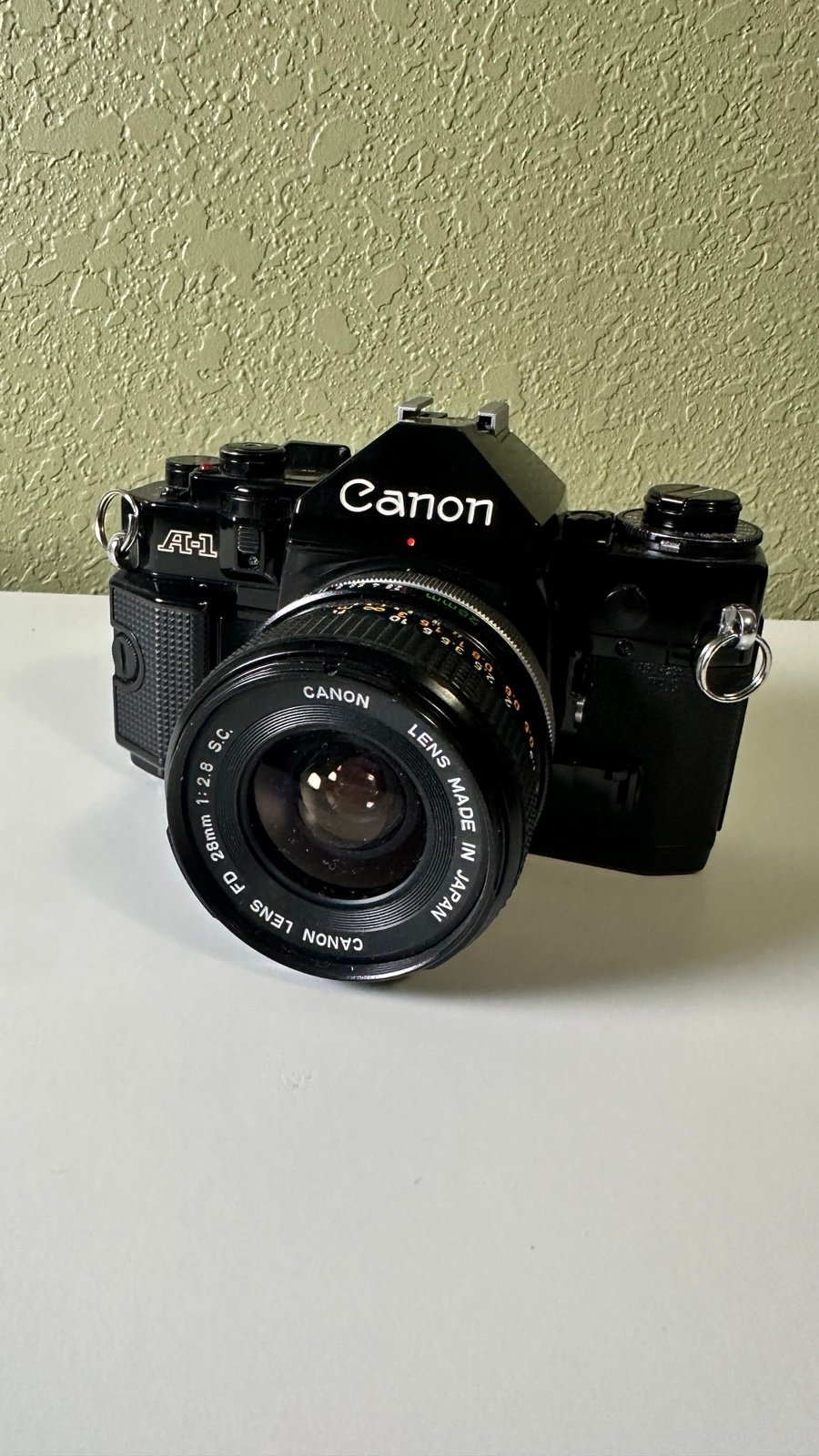 m49017155313_1.jpg