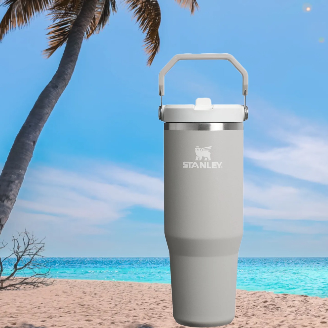 Stanley 30 OZ Iceflow Flipstraw 2.0 Tumbler Color: Ash