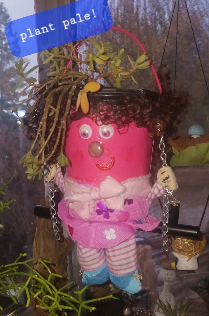 Handmade plant hanger