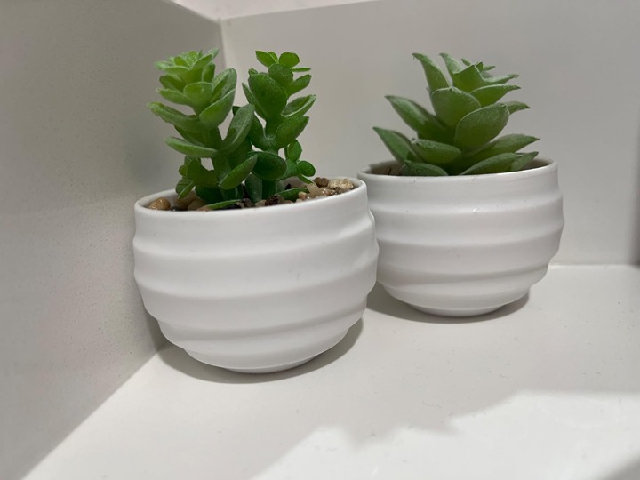 Set of 6 Succulents Plants Artificial in Pots Small Fake Plants
