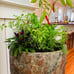 Farmhouse Herb & Pepper Stand. Unique Standing Log Garden for Kitchen & Balcony.