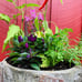 Farmhouse Herb & Pepper Stand. Unique Standing Log Garden for Kitchen & Balcony.