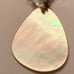 Exotic shell, tumbled glass and leather necklace
