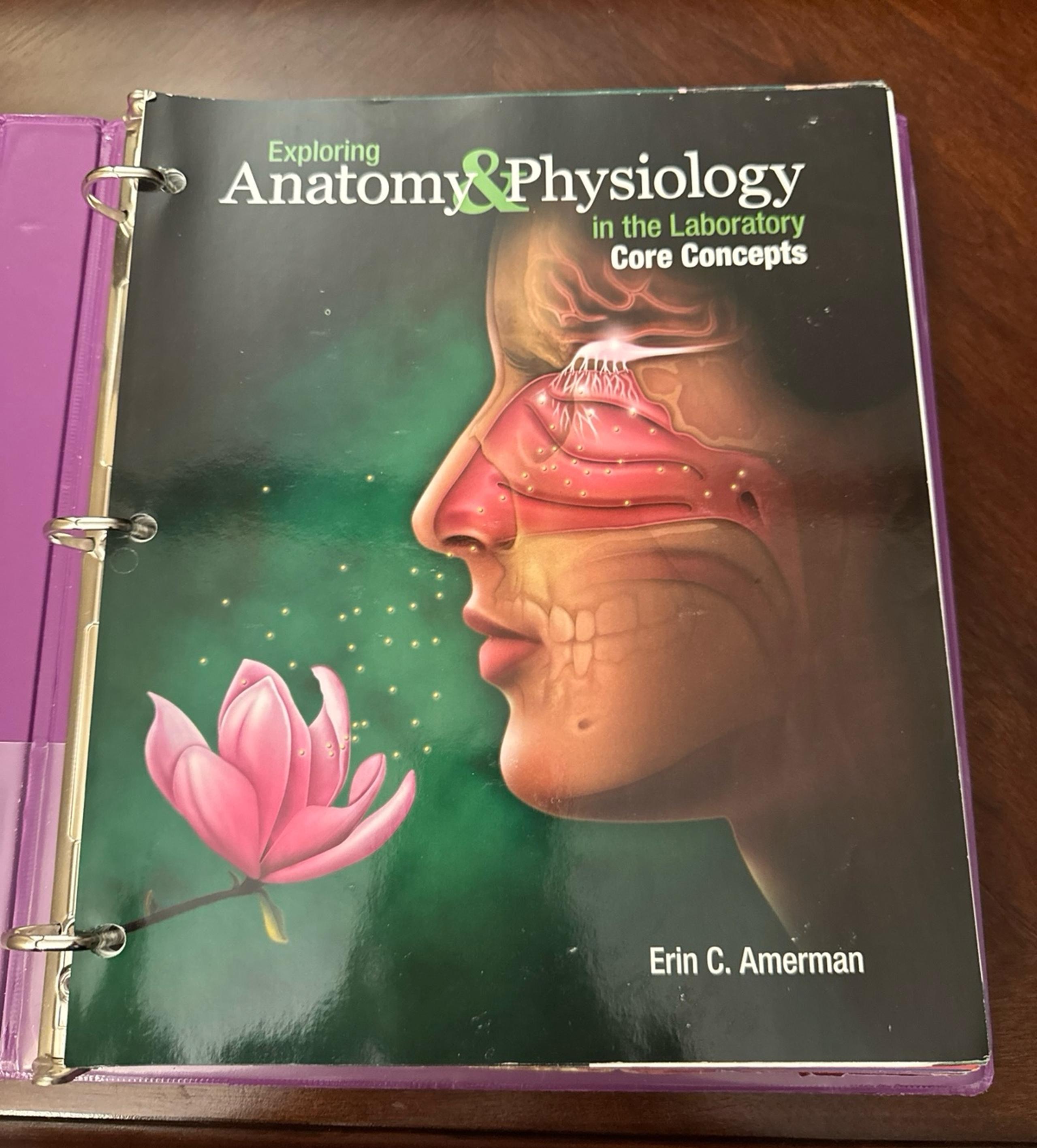 Anatomy